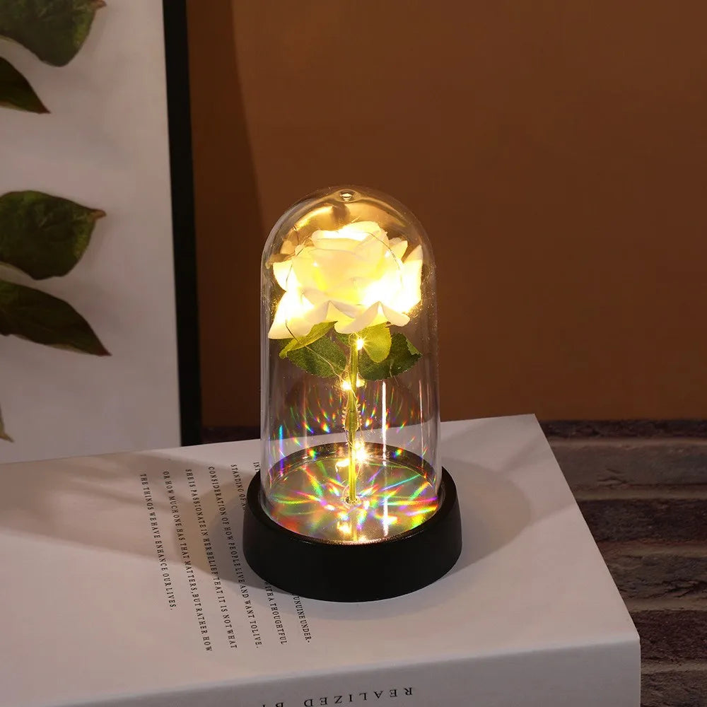 Rose éternelle, cadeau de saint-valentin