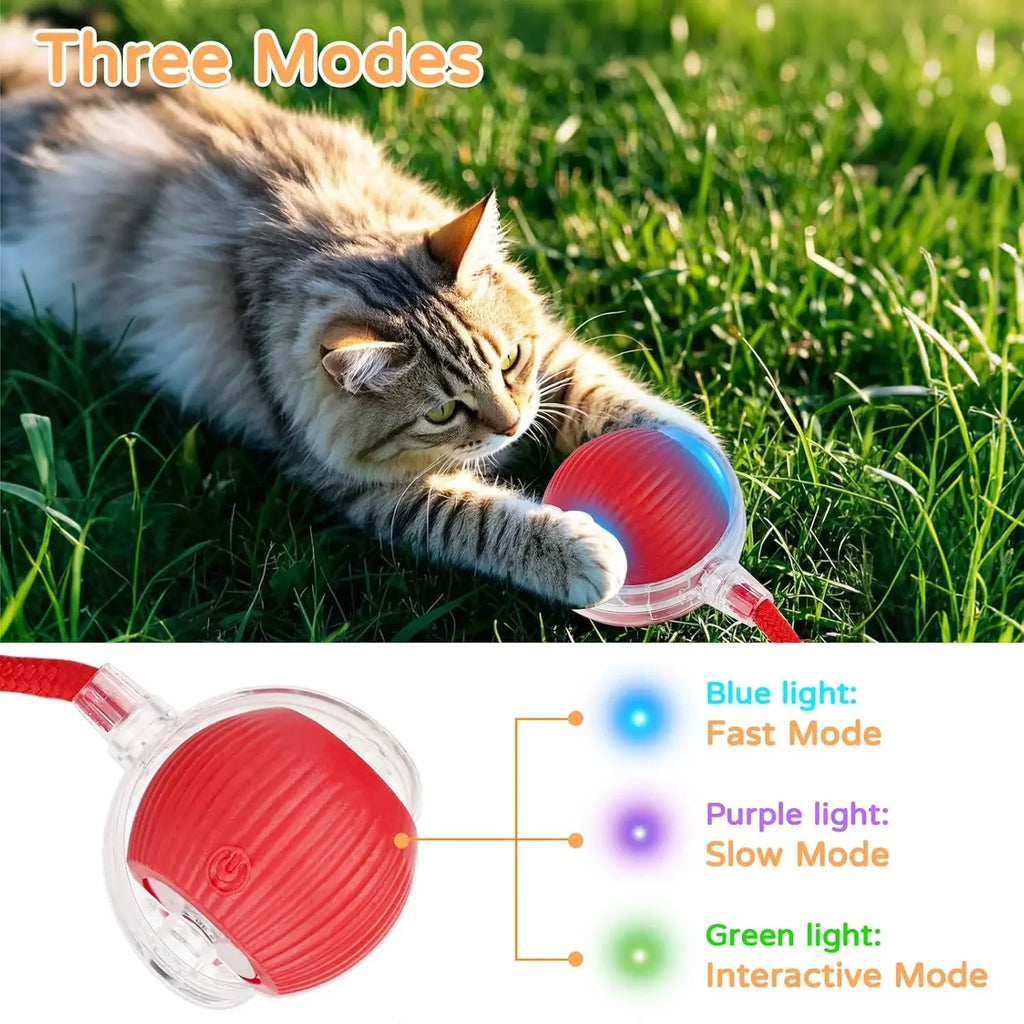 Jouet interactif pour chien et chat, boule roulante automatique
